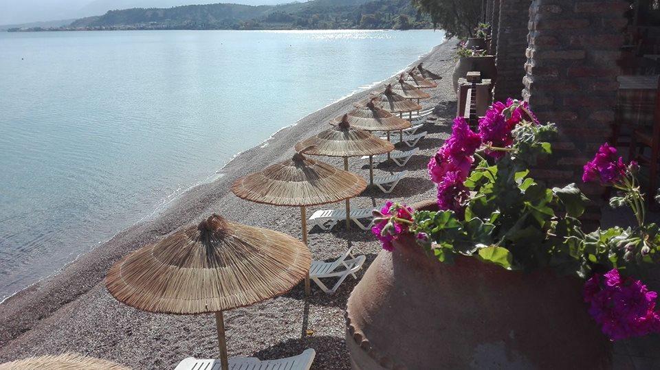 Castella Beach - Αλισσός Αχαίας ✦ 3 Ημέρες (2 Διανυκτερεύσεις)