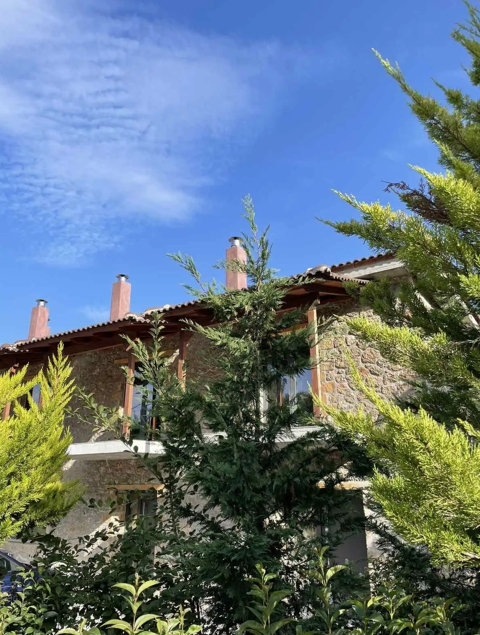 Miltilon Hotel - Τρίκαλα Κορινθίας ✦ -10% ✦ 3 Ημέρες