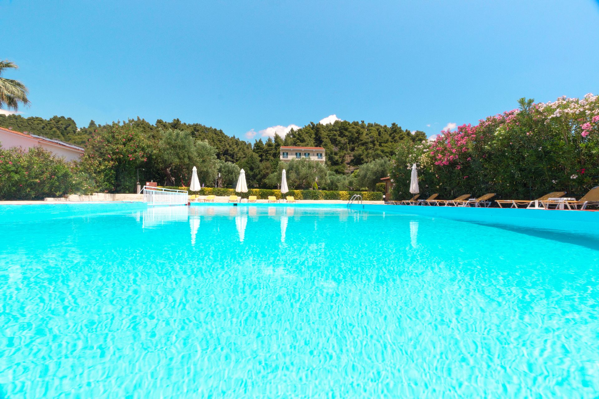 Julia Hotel - Φούρκα, Χαλκιδική ✦ 4 Ημέρες (3 Διανυκτερεύσεις)