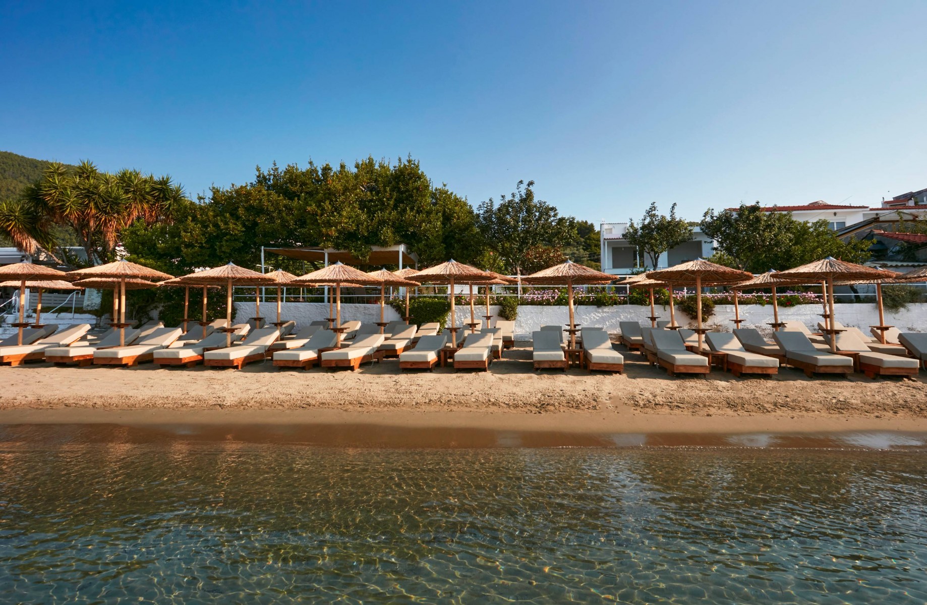 Ammos Luxury Apartments - Μεγάλη Άμμος, Σκιάθος ✦ 4