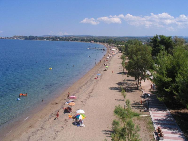 Kochili Apartments - Νέος Πύργος, Εύβοια ✦ 6 Ημέρες